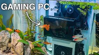 Thumbnail: I Built A Working Fish tank Gaming PC(Real Fish)