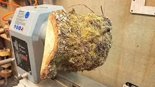 Thumbnail: A Bowl Through a Branch !!