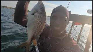 Thumbnail: Porgy Fishing Adventure: The Hunt Continues