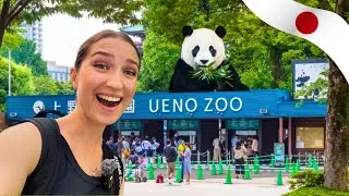 Thumbnail: Japanese Zoo / Tokyo vlog