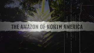 Thumbnail: The Amazon of North America and it's dark history