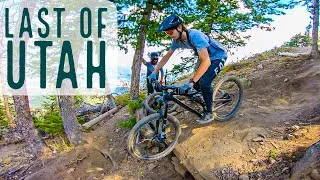 Thumbnail: I Barely Survived This Trail at Deer Valley MTB Park