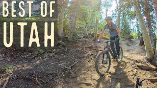 Thumbnail: Utah Downhill MTB Tech & Jump Trails - Deer Valley 2020