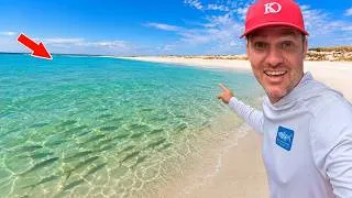 Thumbnail: I Found a Florida Beach Loaded with Fish!