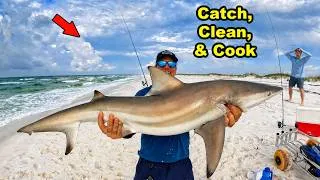Thumbnail: I Caught & Cooked a Shark from the Beach!
