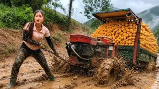 Thumbnail: Full video: Agricultural vehicle transporting timber.