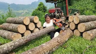 Thumbnail: Agricultural machinery for cutting and harvesting large timber left behind in the forest.