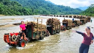 Thumbnail: Using various types of agricultural vehicles to transport timber across a very deep stream.