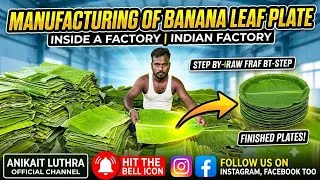 Thumbnail: How 100% Natural Banana Leaf Plates Are Made! Satisfying Indian Factory Process​