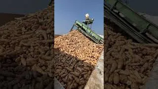 Thumbnail: Sago Manufacturing 