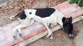 Thumbnail: June was left hanging onto life…