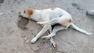 Thumbnail: She could only move her head…