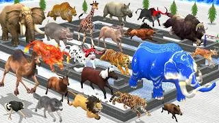 Thumbnail: Epic Maze Madness Race Challenge 24 Wild Animals Run: Who Will Win? Animal Revolt Battle Simulator