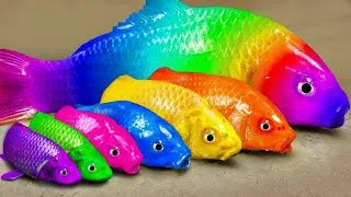 Thumbnail: Stop Motion Cooking ASMR Colorful Koi Fish Cow, ikan & Big Frog 다채로운 잉어물고기 | 거대한 개구리 - 무지개 메기/ 스톱 모션