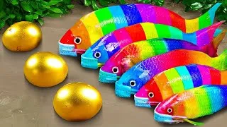 Thumbnail: Tangkap Ikan Tropis Berwarna-warni, Bayi Penyu, Ikan Mas, Gurita, Ikan Ranchu, Ikan Guppy ASMR
