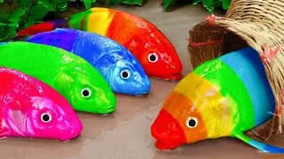 Thumbnail: Amazing Catch Ornamental Fish In Giant Colorful Eggs, Goldfish, Black Guppy, Catfish, Baby Turtles