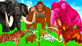 Thumbnail: Mammoth Elephant Vs Red Bull Vs Epic Lion Tiger Vs T-Rex Epic Clash Animal Revolt Battle simulator