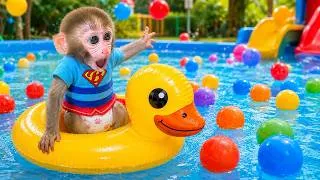 Thumbnail: Monkey Baby Bon Bon and ducklings swim together in a giant pool filled with colorful balls