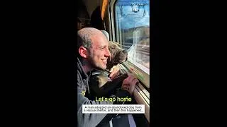 Thumbnail: Kindness born from love #animals #rescue #wildlife #lovestory #cute #animalfriendship