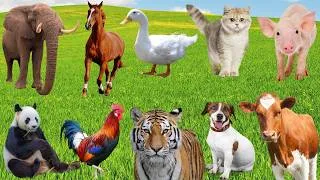 Thumbnail: Cutest Animal Sounds: Cow, Horse, Cat, Rabbit, Dog, Soup, Capybara, Dolphin – Wild Animals