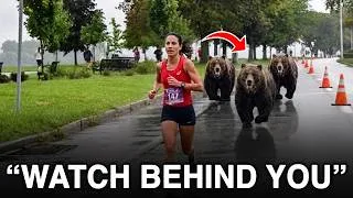 Thumbnail: The Last Minutes Of Diane Cook Eaten By Grizzly Bears