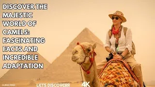 Thumbnail: Secrets of the Camel's Hump: How They Survive Extreme Heat