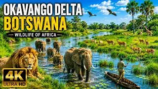 Thumbnail: 🦁 4K Wildlife of Okavango Delta Area, Botswana, Africa | Scenic Wildlife Film With African Music