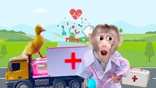 Thumbnail: When baby monkey Obi becomes a doctor