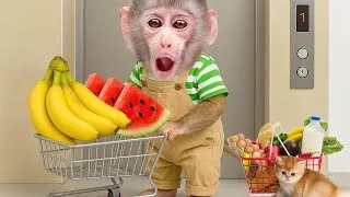 Thumbnail: Obi monkey is out shopping for some yummy fruits with Kittens