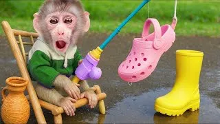 Thumbnail: Baby monkey Obi helps dad go fishing for ducklings | ANIMALS LIFE