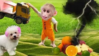 Thumbnail: When Obi monkey misunderstands Amee as the garden destroyer