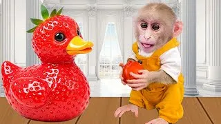 Thumbnail: Smart Obi monkey uses a crane to harvest fruit | ANIMALS LIFE