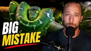 Thumbnail: The Truth About Keeping Emerald Tree Boas