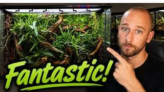 Thumbnail: An Honest Look at 17 Subscriber Reptile Enclosures