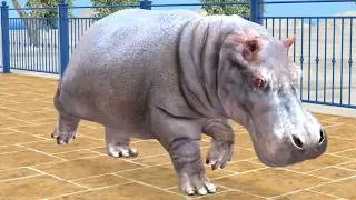 Thumbnail: Cenozoic Animals and Today’s Mammals | Size Matters… A Lot 😂