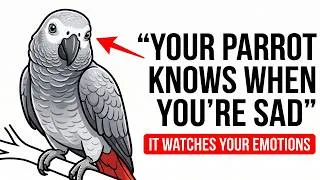 Thumbnail: Is Your Parrot Reading Your Mind? 7 Signs to Look For