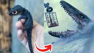 Thumbnail: Before   After Animals Growing Up   Amazing Animal   Transformation Animals Grow Up40