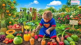 Thumbnail: Monkey Bibi takes care of the fruit trees in the garden