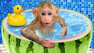 Thumbnail: Monyet Mono Imut Menyelamatkan Bayi Jeruk dari Bahaya dan Mencarikan Banyak Teman Bermain