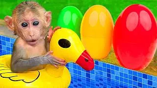 Thumbnail: Monyet Mono Imut Menyelamatkan Bayi Jeruk dari Bahaya dan Mencarikan Banyak Teman Bermain