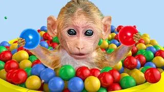 Thumbnail: Monyet Mono Imut Menyelamatkan Bayi Jeruk dari Bahaya dan Mencarikan Banyak Teman Bermain