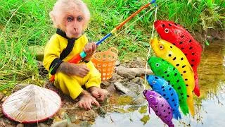 Thumbnail: Monyet Mono Imut Menyelamatkan Bayi Jeruk dari Bahaya dan Mencarikan Banyak Teman Bermain