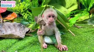 Thumbnail: Monyet Mono Imut Menyelamatkan Bayi Jeruk dari Bahaya dan Mencarikan Banyak Teman Bermain