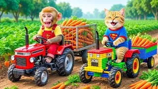 Thumbnail: Monyet Mono Imut Menyelamatkan Bayi Jeruk dari Bahaya dan Mencarikan Banyak Teman Bermain