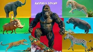 Thumbnail: Safari Animal Sounds Song | Nursery Rhyme for Kids - Learn Animal Names and Sounds