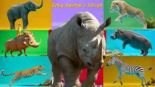 Thumbnail: Safari Animal Sounds Song | Nursery Rhyme for Kids - Learn Animal Names and Sounds