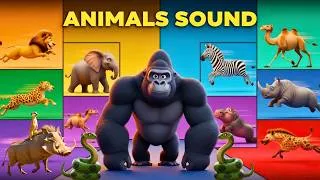 Thumbnail: 🐘Safari Animal Sounds Song | Nursery Rhyme for Kids - Learn Animal Names and Sounds