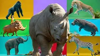 Thumbnail: Safari Animal Sounds Song | Nursery Rhyme for Kids - Learn Animal Names and Sounds