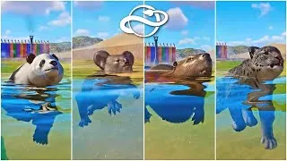Thumbnail: Wild Animals Swimming Race in African Desert | Koala, Beaver, Black Wildebeest, Snow Leopard, Bison