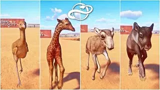 Thumbnail: Wild Baby Animals Race in Planet Zoo - African Desert - Giraffe, Crane, Crocodile, Reindeer, Wallaby